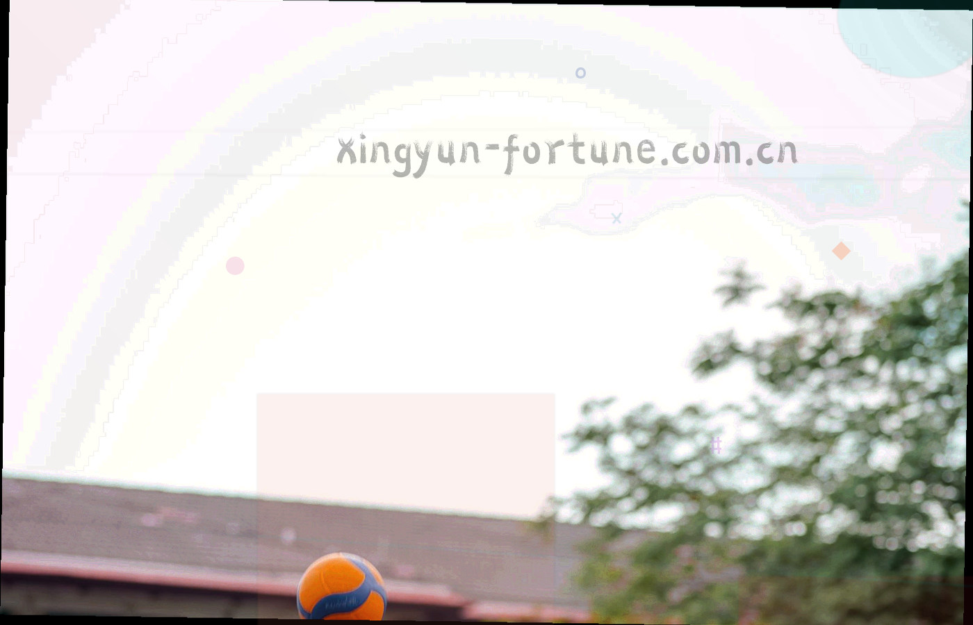 暖光下俯拍的白瓷果盘与平板设备同框，果盘里摆着成熟的杏子